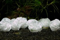 Original japanische Baby Shrimp Shelter, 20 Stück - blau