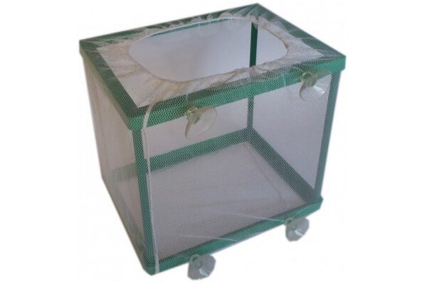 Aufzuchtbox (Net Breeding Box) Größe-S