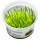 Taxiphyllum barbieri Bogor Moss 1-2-GROW!