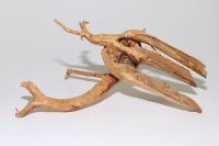 Spiderwood#1436 - "Kneiffender Dreizack" 27x21x12 cm (LxBxH)