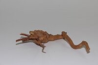 Moorkien Fingerwurzel #1448 - "Shrimpchen unicorn" 19x14x4 cm (LxBxH)