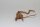 Moorkien Fingerwurzel #1448 - "Shrimpchen unicorn" 19x14x4 cm (LxBxH)