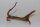 Moorkien Fingerwurzel #1494 - "Hajjjjjoooohh" 25x13x15 cm (LxBxH)