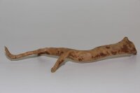 Moorkien Fingerwurzel #1496 - "Holemanseppl" 23x10x7 cm (LxBxH)