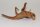 Moorkien Fingerwurzel #1499 - "Shrimpsfankurve" 21x15x9 cm (LxBxH)