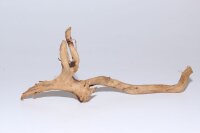 Moorkien Fingerwurzel #1862 - " Maschock " 23x9x9 cm (LxBxH)