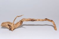 Moorkien Fingerwurzel #1864 -  Dodu  25x9x7 cm (LxBxH)