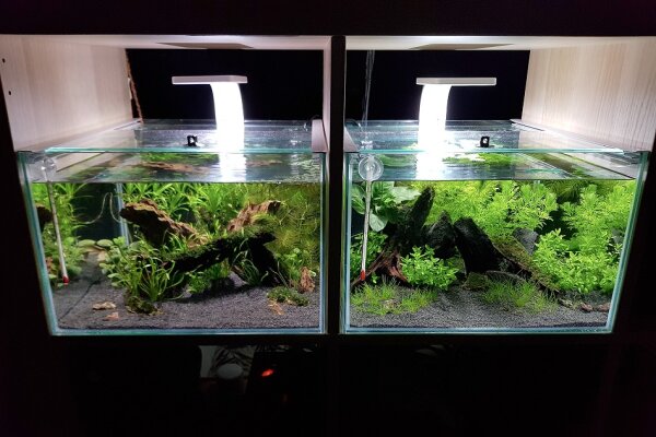 GT Aquarium 27,5 Liter für Kallax-Regal, verschiedene Ausführungen