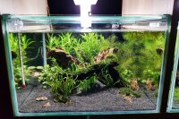 GT Aquarium 27,5 Liter für Kallax-Regal, verschiedene Ausführungen