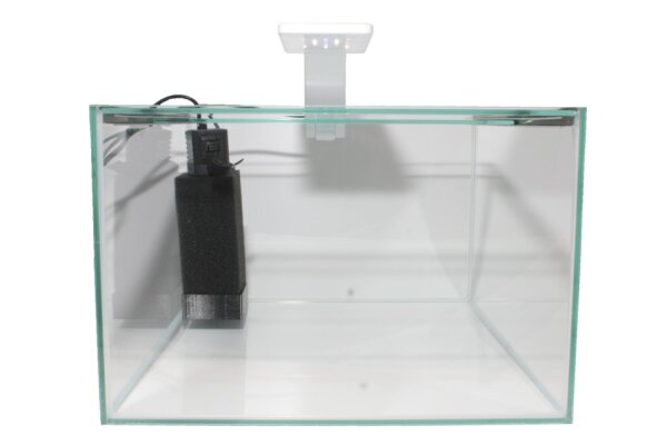 GT Aquarium 27,5 Liter für Kallax-Regal, mit Technik und Einrichtung Variante 1