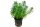 Myriophyllum mattogrossense - Grünes Tausendblatt im Topf