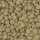 sera Viformo Pleco Tabs | Hauptfutter-Tabletten für Welse & Bodenfische