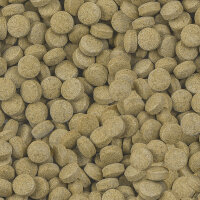 sera Viformo Pleco Tabs, 100 ml | Futtertabletten für Welse