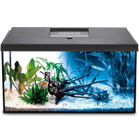 Aquael Aquarienset Leddy Day & Night 60 schwarz - 60 x 30 x 30 cm, 54 Liter (2.0)
