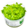 Hottonia palustris 1-2-Grow! | Wasserfeder Pflanze