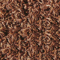 sera Bloodworms FD Snack, 250 ml | Rote Mückenlarven Vorratspackung