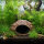 Aquarium Felsenhöhle aus Ton, 14 x 10 x 8 cm | Für Krebse & Zwergbuntbarsche