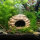 Aquarium Felsenhöhle aus Ton, 17 x 13 x 10 cm | Für Flusskrebse & große Welse