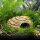 Aquarium Felsenhöhle aus Ton, 23 x 14 x 10 cm | Für sehr große Welse & Krebse