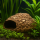 Aquarium Felsendom aus Ton, 21 x 19 x 12 cm | XXL-Höhle für Barsche & große Welse