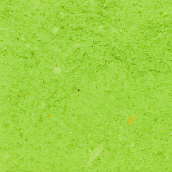 GT Grüner Hafer Puder