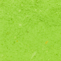 GT Grüner Hafer Puder, 120 g