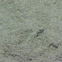 GT Artischocken Puder, 160 g