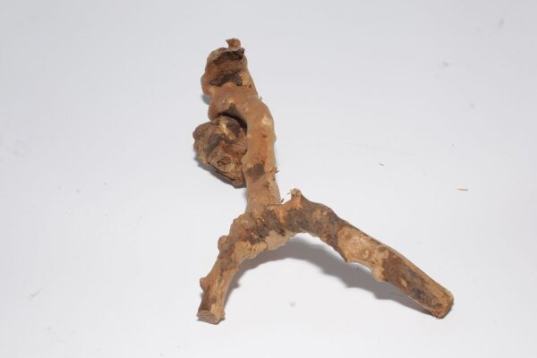 Moorkien Fingerwurzel #2058 - 21x10x5 cm (LxBxH)