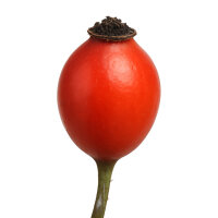 GT Hagebuttefrucht Puder 30 g