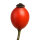 GT Hagebuttefrucht Puder 30 g