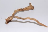 Moorkien Fingerwurzel "Winkelhäkchen" - 20x25x6 cm (LxBxH) #1643