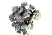 Espen Laubblätter (grün getrocknet), 30 Blätter
