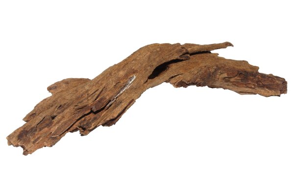 Jungle Wood / Yati Holz klein (10-20 cm), 1 Stück