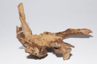 Moorkien Fingerwurzel "Mantis" - 14x10x9 cm (LxBxH) #3008