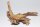 Moorkien Fingerwurzel "Mantis" - 14x10x9 cm (LxBxH) #3008