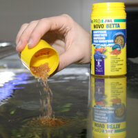 JBL Pronovo Betta Flakes S, 20 ml | Prebiotisches Flockenfutter
