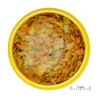 JBL Pronovo Betta Flakes S, 100 ml | Prebiotisches Flockenfutter für Kampffische