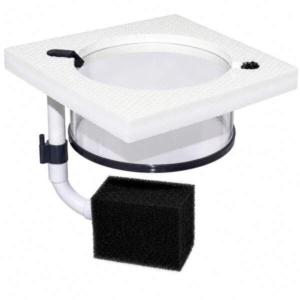 Aufzuchtring / Breedingbox quadratisch mit Luftheber 150 mm | Größere Aufzuchtbox für Babygarnelen