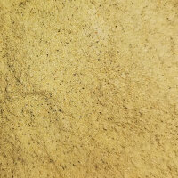 GT Zucchini Puder, 35 g