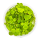 Phyllanthus fluitans 1-2-GROW!