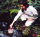 Söchting Oxydator W Teichbelüfter - Ideal für Gartenteiche bis 4.000 Liter