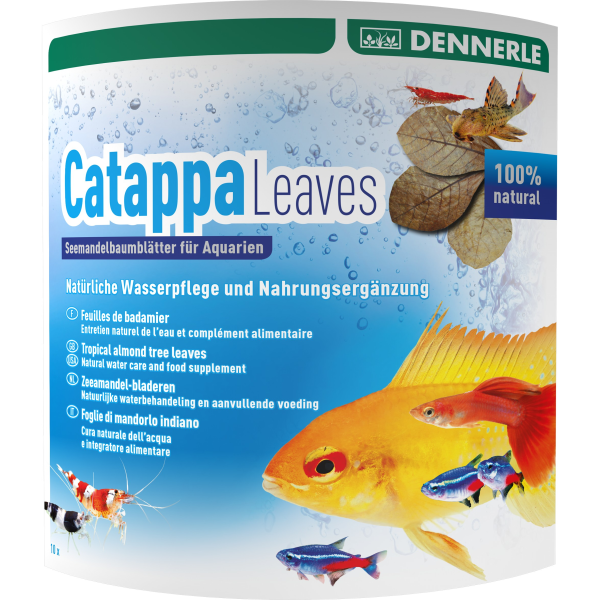 Dennerle Aqua Rico - Catappa Leaves | Seemandelbaumblätter (10 Stk.)