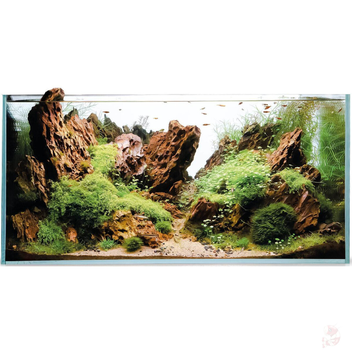 Aquael UltraScape 60 Weißglas Aquarium ohne Beleuchtung, 60 x 30 x 36