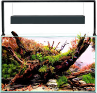 Aquael UltraScape 60 Weißglas Aquarium Forest | 64 l Aquascaping-Aquarium mit schwarzer LED-Halterung