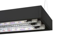 Aquael UltraScape 60 Weißglas Aquarium Forest | 64 l Aquascaping-Aquarium mit schwarzer LED-Halterung