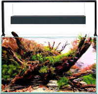 Aquael UltraScape 60 Weißglas Aquarium forest 60 x 30 x 36 cm (LxBxH), 64 Liter (2.0)
