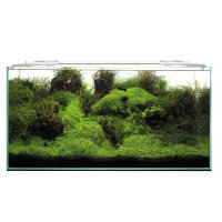 Aquael Leddy Slim Sunny D&N 2.0 32W, Aufsetzlampe für 80 - 107 cm breite Aquarien