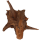 Wurzelkopf Kienholz - "Trilobyte" 31x13x18 cm (LxBxH) #1805