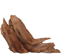 Wurzelkopf Kienholz - "Wood Mountain" 25x14x18 cm (LxBxH) #1815