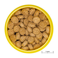 JBL ProNovo Crabs Wafer M, 100 ml | Hauptfutter für Krebse
